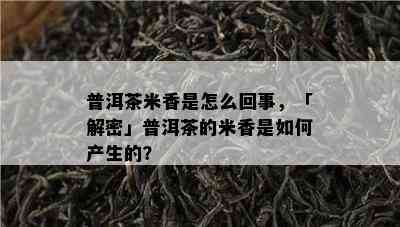 普洱茶米香是怎么回事，「解密」普洱茶的米香是怎样产生的？