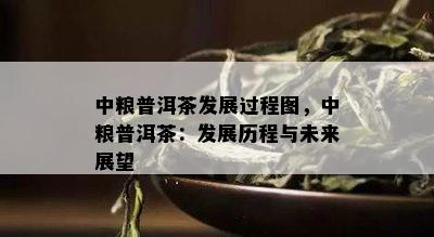 中粮普洱茶发展过程图，中粮普洱茶：发展历程与未来展望