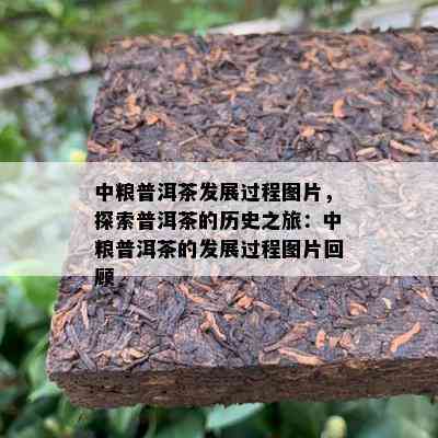 中粮普洱茶发展过程图片，探索普洱茶的历史之旅：中粮普洱茶的发展过程图片回顾