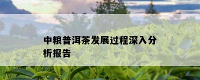 中粮普洱茶发展过程深入分析报告