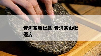 普洱茶地帐篷-普洱茶山帐篷店