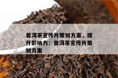 普洱茶宣传片策划方案，提升作用力：普洱茶宣传片策划方案