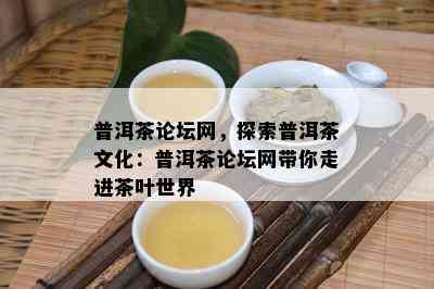 普洱茶论坛网，探索普洱茶文化：普洱茶论坛网带你走进茶叶世界