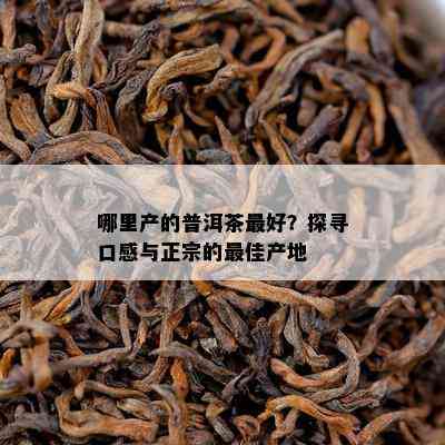 哪里产的普洱茶更好？探寻口感与正宗的更佳产地