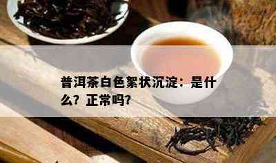 普洱茶白色絮状沉淀：是什么？正常吗？