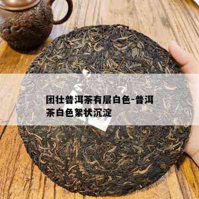 团壮普洱茶有层白色-普洱茶白色絮状沉淀