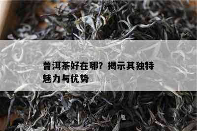 普洱茶好在哪？揭示其独特魅力与优势