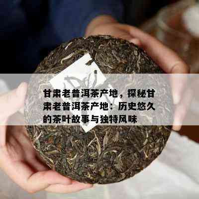 甘肃老普洱茶产地，探秘甘肃老普洱茶产地：历史悠久的茶叶故事与特别风味