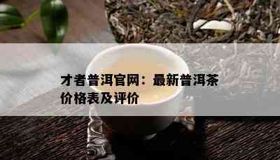 才者普洱官网：最新普洱茶价格表及评价