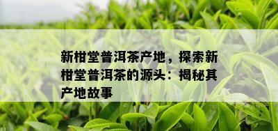 新柑堂普洱茶产地，探索新柑堂普洱茶的源头：揭秘其产地故事