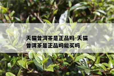 天猫普洱茶是正品吗-天猫普洱茶是正品吗能买吗