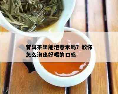 普洱茶里能泡薏米吗？教你怎么泡出好喝的口感