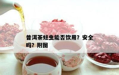 普洱茶蛀虫能否饮用？安全吗？附图