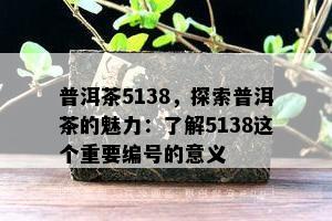 普洱茶5138，探索普洱茶的魅力：了解5138这个重要编号的意义