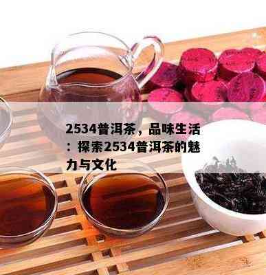 2534普洱茶，品味生活：探索2534普洱茶的魅力与文化