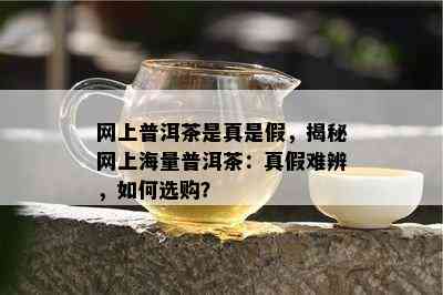 网上普洱茶是真是假，揭秘网上海量普洱茶：真假难辨，怎样选购？