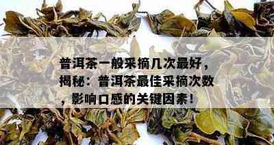 普洱茶一般采摘几次更好，揭秘：普洱茶更佳采摘次数，作用口感的关键因素！