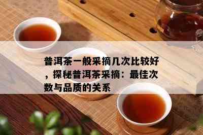 普洱茶一般采摘几次比较好，探秘普洱茶采摘：更佳次数与品质的关系