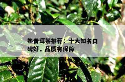 熟普洱茶推荐：十大知名口碑好，品质有保障