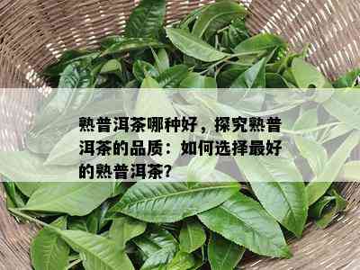 熟普洱茶哪种好，探究熟普洱茶的品质：怎样选择更好的熟普洱茶？