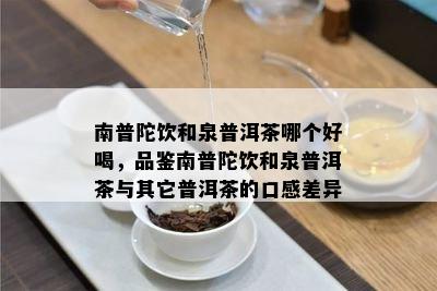 南普陀饮和泉普洱茶哪个好喝，品鉴南普陀饮和泉普洱茶与其它普洱茶的口感差异