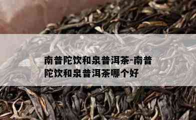 南普陀饮和泉普洱茶-南普陀饮和泉普洱茶哪个好