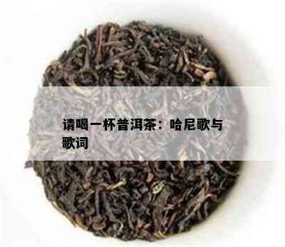 请喝一杯普洱茶：哈尼歌与歌词