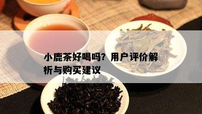 小鹿茶好喝吗？客户评价解析与购买建议