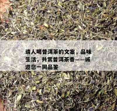 请人喝普洱茶的文案，品味生活，共赏普洱茶香——诚邀您一同品鉴