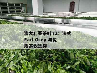 澳大利亚茶叶T2：法式 Earl Grey 与优质茶饮选择