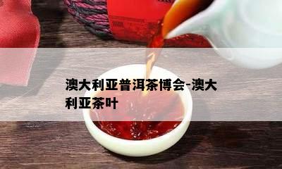 澳大利亚普洱茶博会-澳大利亚茶叶