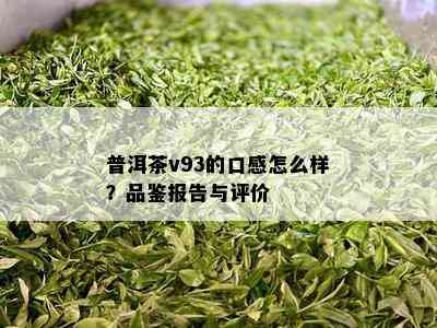 普洱茶v93的口感怎么样？品鉴报告与评价