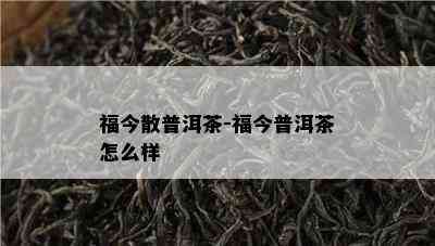 福今散普洱茶-福今普洱茶怎么样