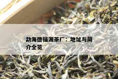 勐海德福源茶厂：地址与简介全览