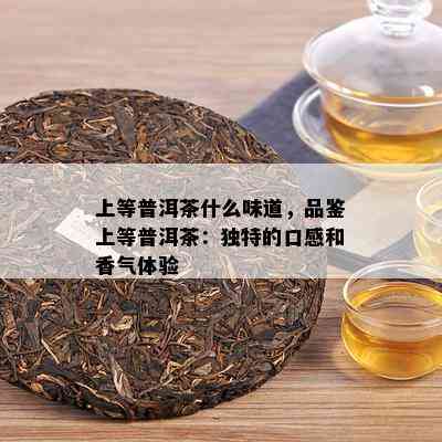 上等普洱茶什么味道，品鉴上等普洱茶：特别的口感和香气体验