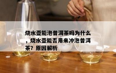 烧水壶能泡普洱茶吗为什么，烧水壶能否用来冲泡普洱茶？起因解析