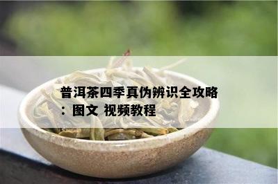 普洱茶四季真伪辨识全攻略：图文 视频教程