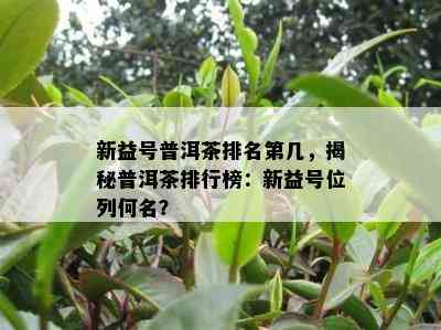 新益号普洱茶排名第几，揭秘普洱茶排行榜：新益号位列何名？