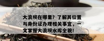 大浪坝在哪里？了解其位置与身份证办理相关事宜，一文掌握大浪坝水库全貌！