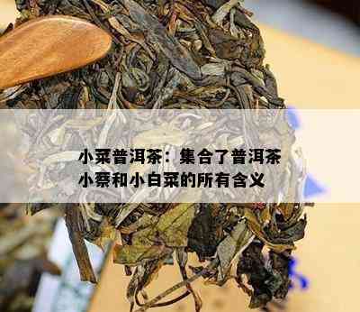 小菜普洱茶：集合了普洱茶小蔡和小白菜的所有含义