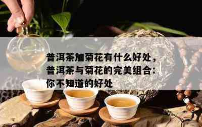 普洱茶加菊花有什么好处，普洱茶与菊花的完美组合：你不知道的好处