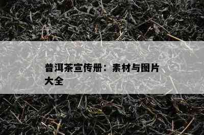 普洱茶宣传册：素材与图片大全