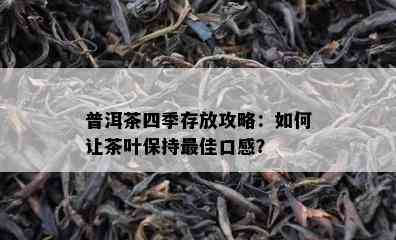 普洱茶四季存放攻略：如何让茶叶保持更佳口感？