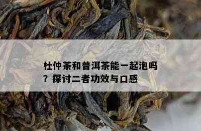 杜仲茶和普洱茶能一起泡吗？探讨二者功效与口感