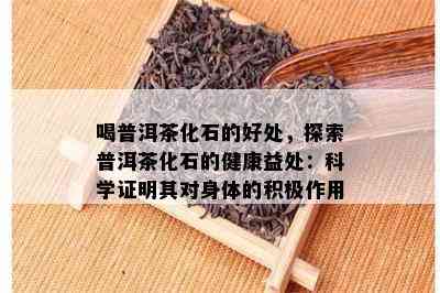 喝普洱茶化石的好处，探索普洱茶化石的健康益处：科学证明其对身体的积极作用