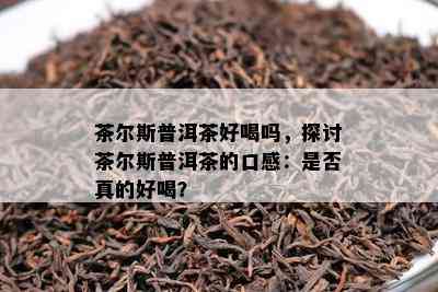 茶尔斯普洱茶好喝吗，探讨茶尔斯普洱茶的口感：是否真的好喝？