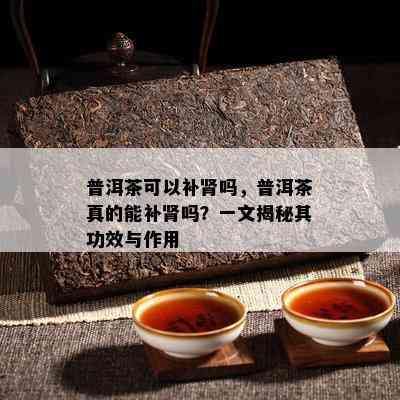 普洱茶可以补肾吗，普洱茶真的能补肾吗？一文揭秘其功效与作用