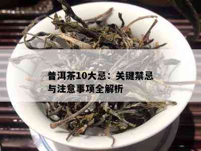 普洱茶10大忌：关键禁忌与留意事项全解析