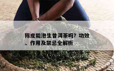 陈皮能泡生普洱茶吗？功效、作用及禁忌全解析