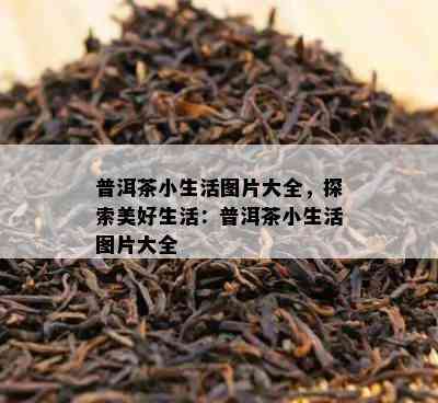 普洱茶小生活图片大全，探索美好生活：普洱茶小生活图片大全